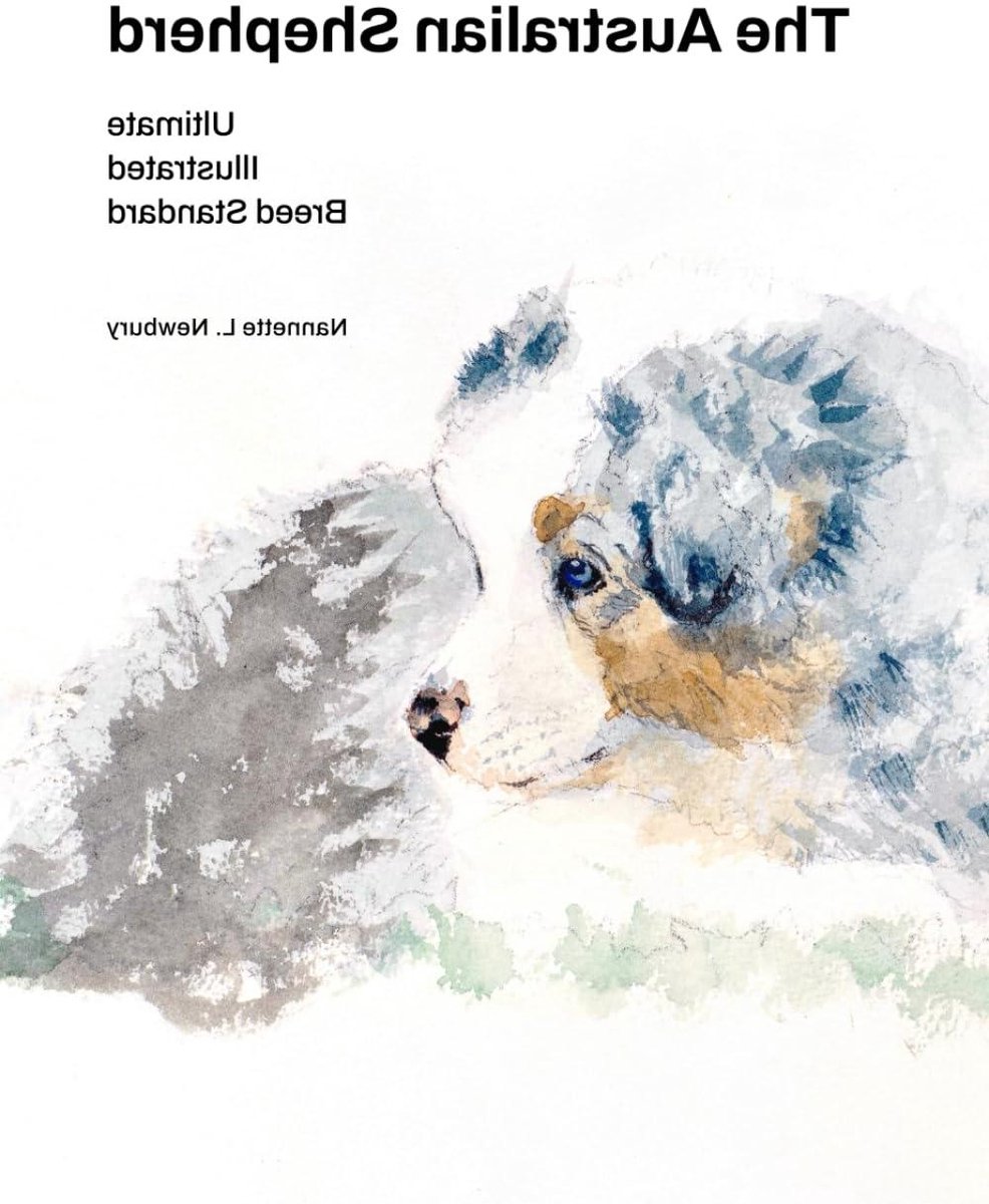 Australian Shepherd Rasstandaard - Hondengids - Honden Kennis Vergaren - Geïllustreerde Gids - 432 pagina's - Niet gespecificeerd