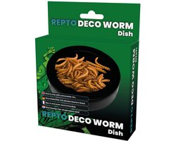 Repto Deco Worm Dish - Meelwormen Voederschaal