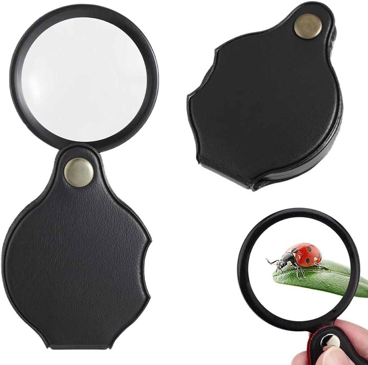 2 Stuks Draagbare Vergrootglas - Vouwbare Lezen Vergrootglas voor Boeken, Kranten en Meer - Handig en Compact Vergrootglas