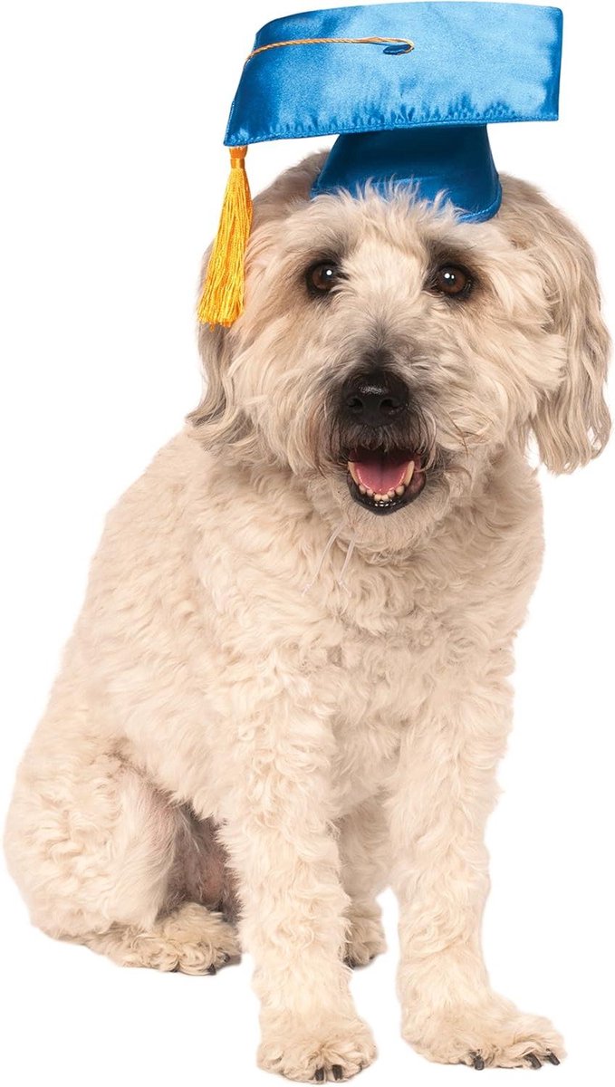 Huisdier Kostuum Hoed - Honden Accessoire - Feestelijke Gelegenheid - Graduatie Thema - M-L - Wit