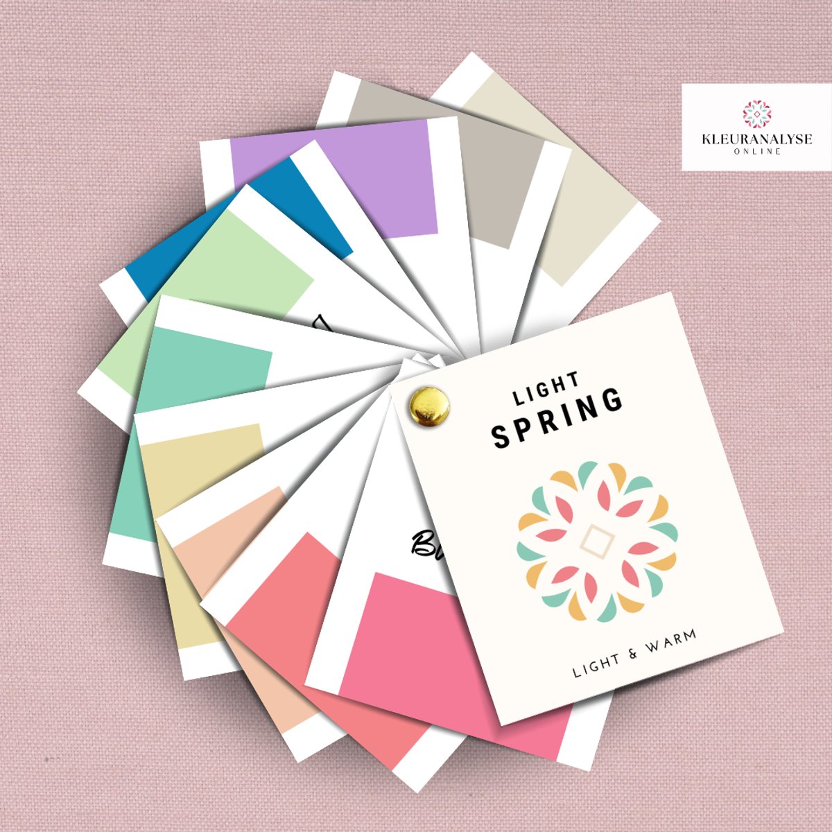 Light Spring Kleurenwaaier – Seizoenskleuren – Kleurtype Lentetype – Warm & Licht – Kleuranalyse – Kleuradvies Voor Kleding
