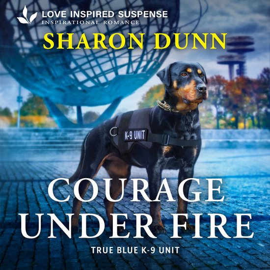 Courage Under Fire - cover