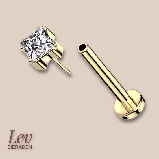 PIERCINGLINE Titanium segmentring clicker