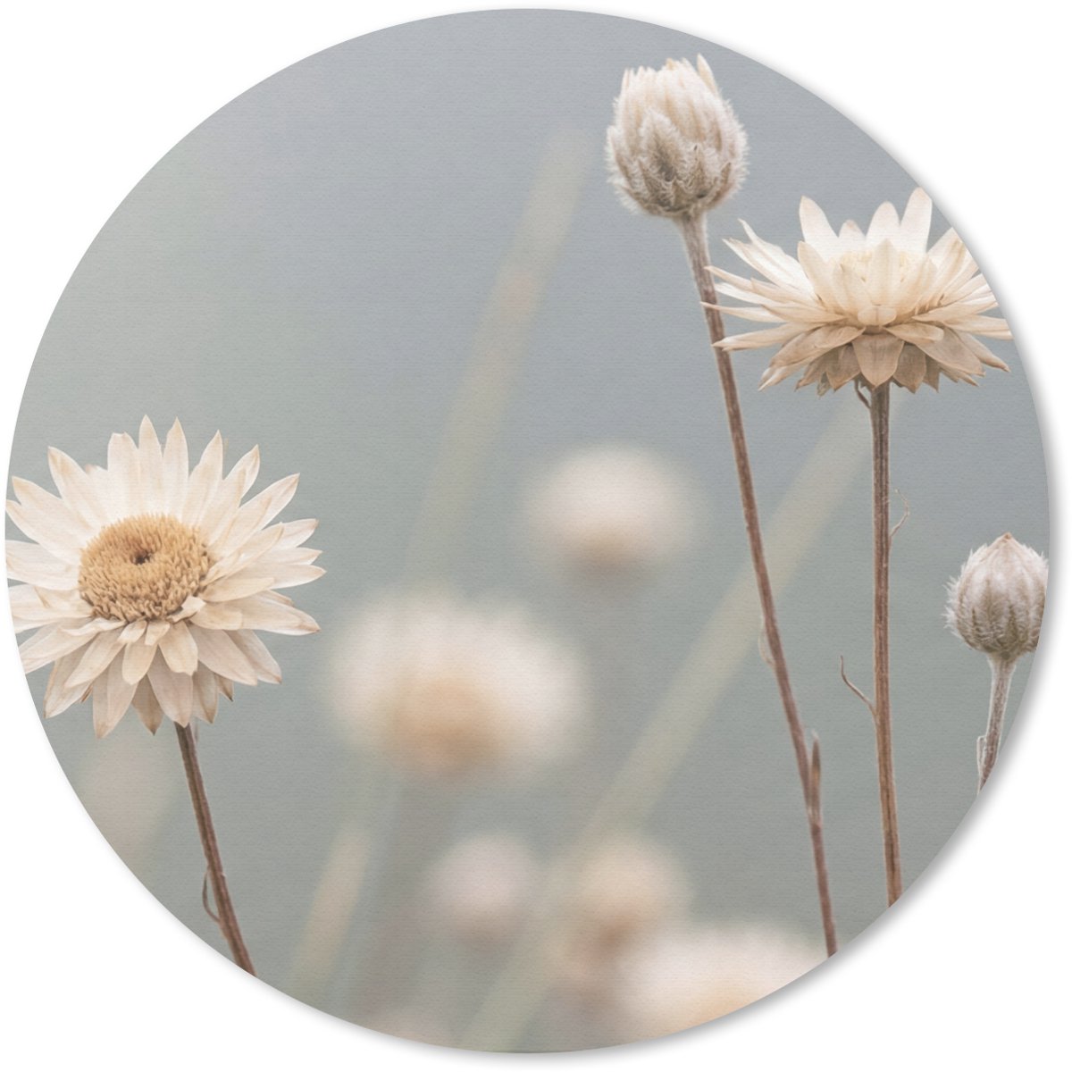 Muismat rond 20x20 cm - Mousepad Strobloemen - Wit - Daglicht - Ronde muismatten