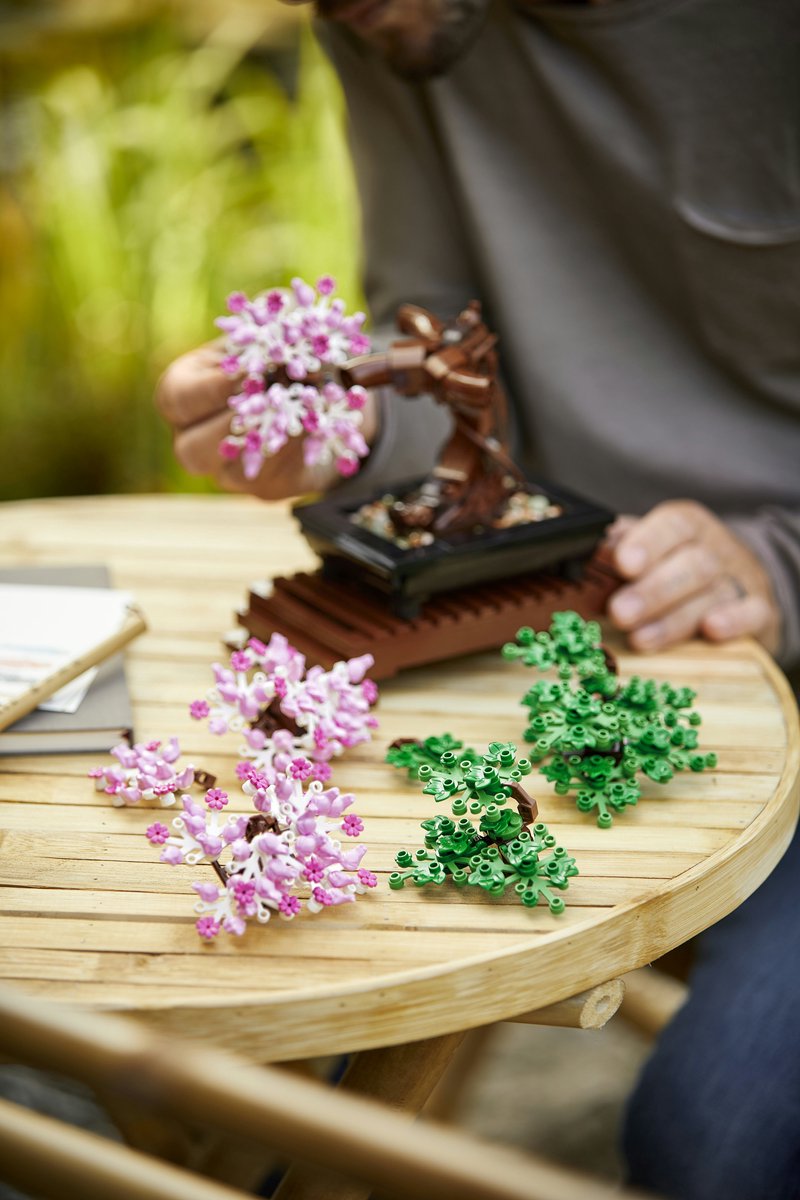 LEGO Botanicals Bonsaiboompje Bouwpakket - 10281 — afbeelding 21