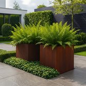 STEAEL CORTEA – Cortenstaal Plantenbak – 60 x 60 x 60 cm
