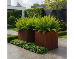 STEAEL CORTEA – Cortenstaal Plantenbak – 60 x 60 x 60 cm