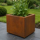 STEAEL CORTEA – Cortenstaal Plantenbak – 40 x 40 x 40 cm