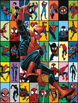 Spider-Man Total Universe: More Than 60 Years of Every Comic, Every Character, Every Story