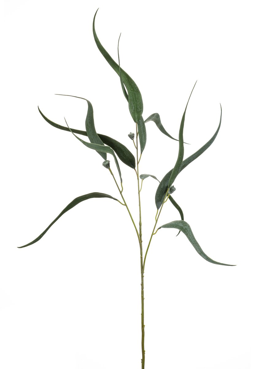 Kunsttak Eucalyptus - Kunststof/Polyester/Metaal - Groen - 85 cm - Realistisch Kunstbloem