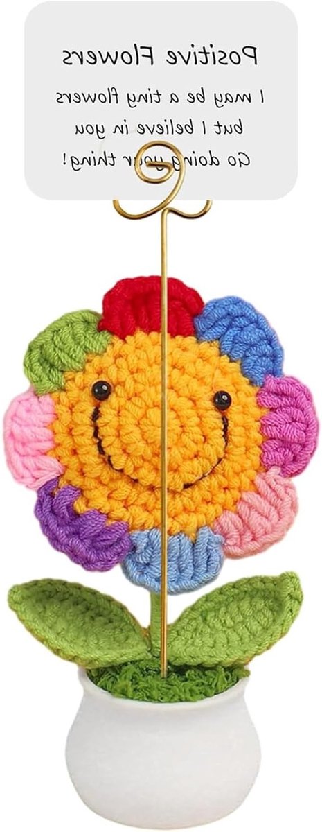 Leuke Gehaakte Cadeaus voor Vriendin met Zonnebloem, Mini Formaat, Handige en Aanmoedigende Geschenken voor Vrienden en Familie