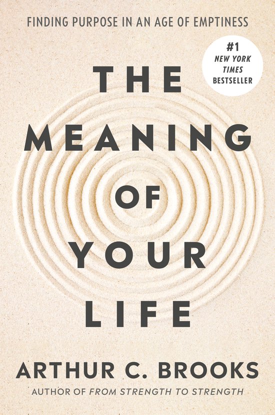 The Meaning of Your Life - cover