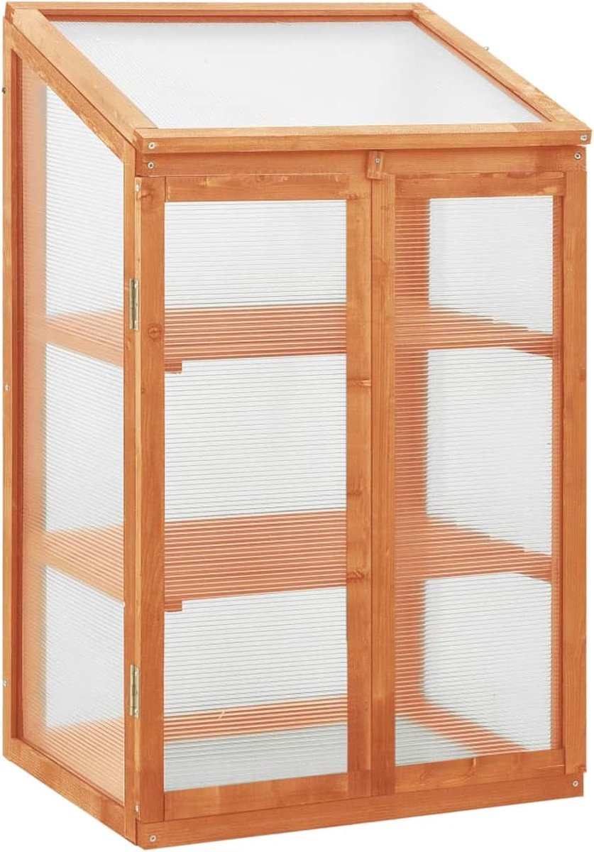 Mini Broeikas - Plantenkas Tuin - Planten Beschermen - Met 2 Legborden - 60 x 45 x 100 cm - Houtkleur