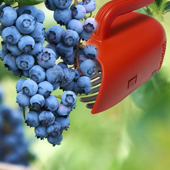 Berry Picker - Scoop Comb Tool - Efficiënte Harvest Blueberry Rake Picker Scoop Tool - Handy Fruit Harvester Ideaal voor bessen, druiven kers plukken, boomgaardgebruik en tuinieren — afbeelding 4