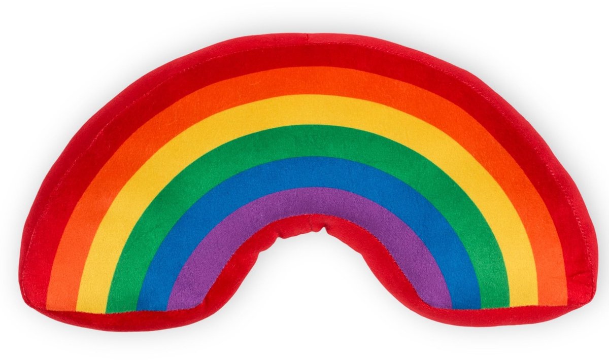 Cosensi- Sierkussen Regenboog 37x18x7 cm - Zacht Sierkussen - Decoratie Kussen - Polyester - Kleurrijk en Modern - Decoratiekussen