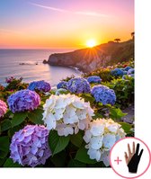 HobbyMania Originals Schilderen Op Nummer Volwassenen - Hortensia's bij Zonsondergang - Inclusief Verf Penselen en Tekenhandschoen - Kleuren Op Nummer - Paint By Number Volwassenen - 40x50 cm