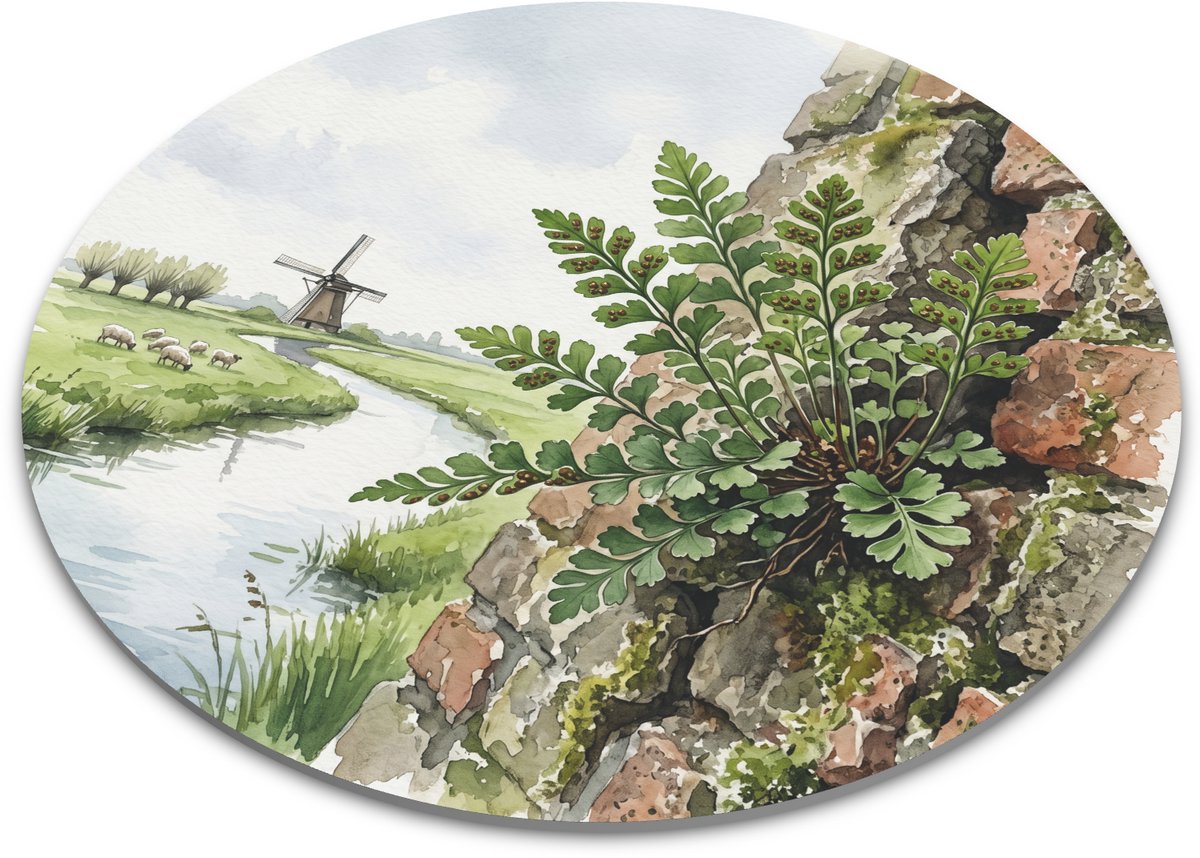 Ronde Muismat - Muurvaren (Asplenium ruta-muraria) op Oude Stenen Muur - Aquarel Botanische Illustratie Natuur en Hollands Landschap met Windmolen - Kantoor Bureau Decoratie - Diameter 22 cm