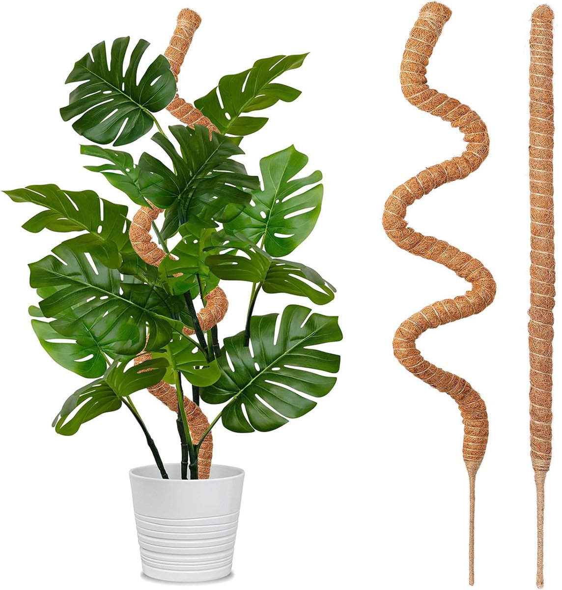 Kokospalmstelen - 2 stuks - Mosstelen - 1 parr - 30 cm - Flexibel en vormbaar - Geschikt voor klimplanten binnenshuis - Plantensteunen - Bruin