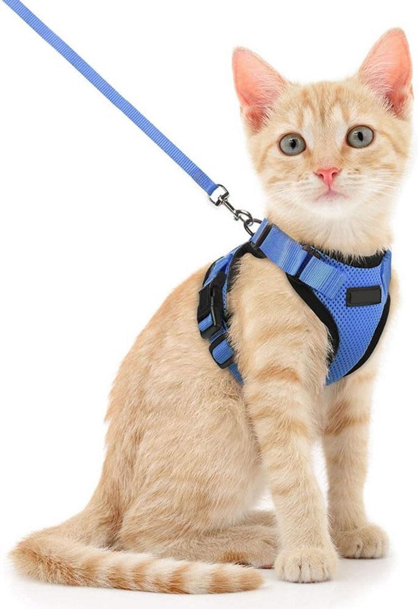 Arnes Kattenharnas, verstelbaar, met riem van 150 cm, veiligheidsharnas voor kleine en middelgrote katten, volwassenen, puppy's, katten, wandelen, reizen, XS, blauw