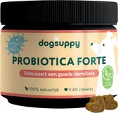 Probiotica Forte - Zonder vlees - 100% Natuurlijk - 60 heerlijke snoepjes - Ondersteunt Darmflora & Spijsvertering van je Hond - bij Slappe of Harde Ontlasting, Gras Eten, Moeizame Stoelgang & Gevoelige Darmen - 3.4 miljard CFU Probiotica per snoepje