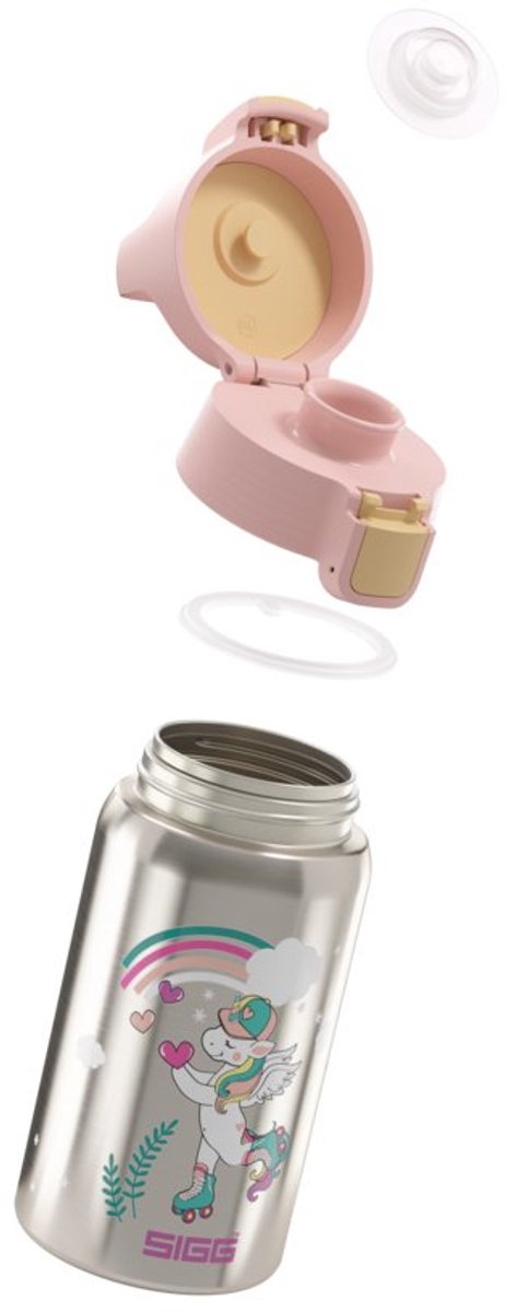 SIGG Kinder Drinkfles Skate 0,5l - Grijs - BPA-vrij - Herbruikbaar.