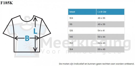 Fruit Of The Loom Iconic T-shirt Enfants / Kinder (Wit)