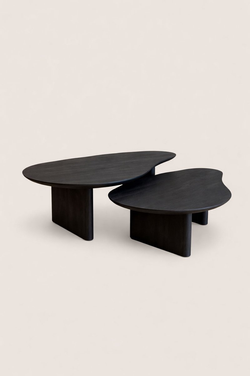 Salontafel Set van 2 Mangohout – Organisch – Zwart – Modern Design