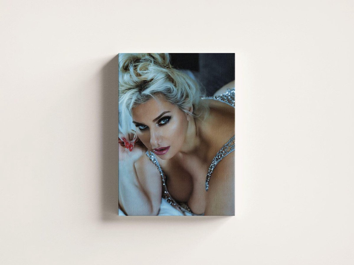 MichiFandreams Canvas print 90x60cm SILVER
