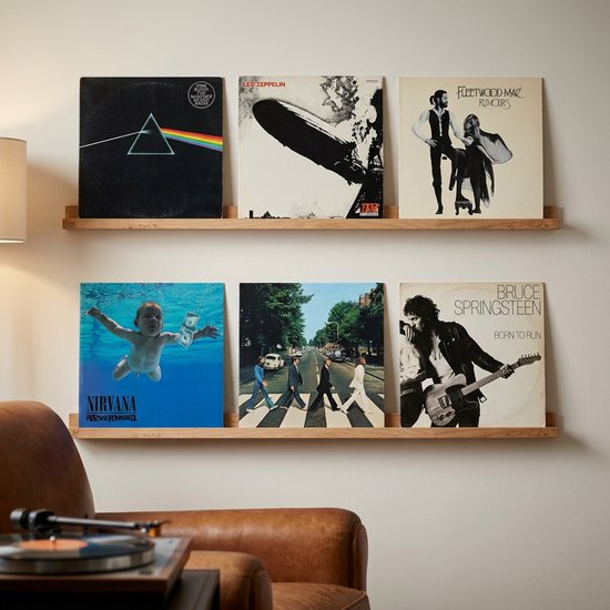 Zes klassieke LP's op twee houten planken: 'The Dark Side of the Moon', 'Led Zeppelin IV', 'Rumours', 'Nevermind', 'Abbey Road', 'Born to Run'.