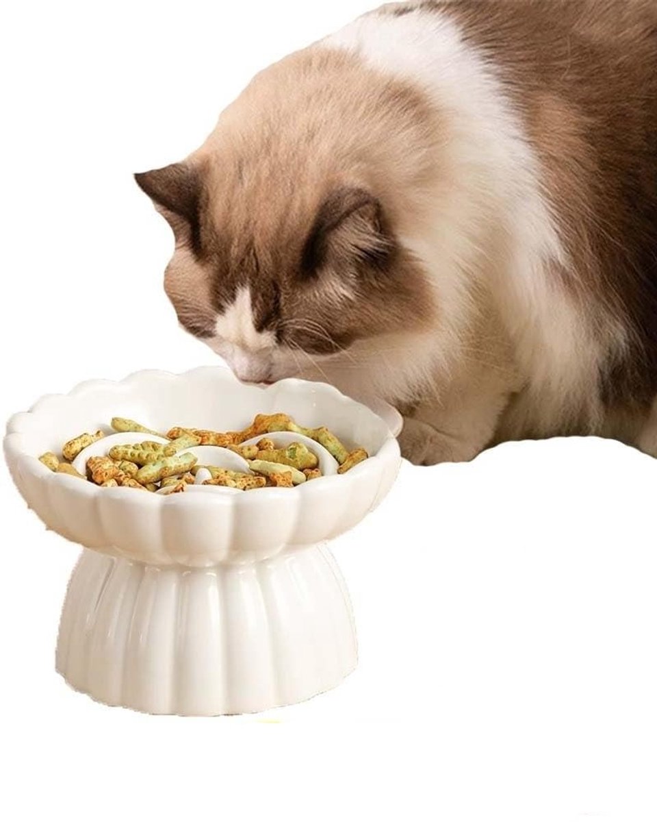 Wit keramische verhoogde slowfeeder-voerbakken voor katten – snorhaarvriendelijk, anti-braak en eetsnelheid-regulerend – met nekondersteuning; geschikt voor katten en puppy's.
