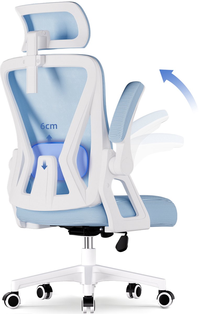 Hiaonyx bureaustoel-ergonomische bureaustoel-bureaustoelen voor volwassenenOpklapbare armleuningen-2D lendensteun-Maximale kanteling 135°-Blauw