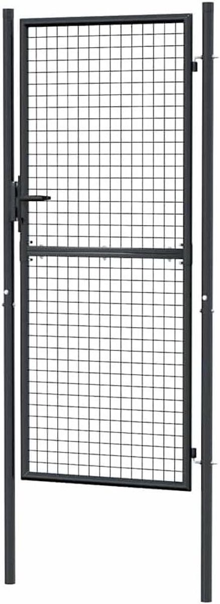 Gaaspoort - Metaalhek - Beveiliging Tuin - Gegalvaniseerd Staal - 100x250 cm - Grijs