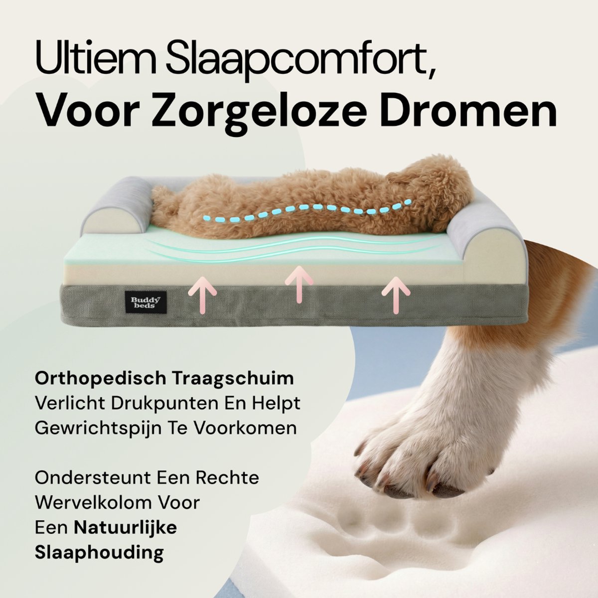 Buddy Buddy Beds Orthopedische Hondenmand - afbeelding 4