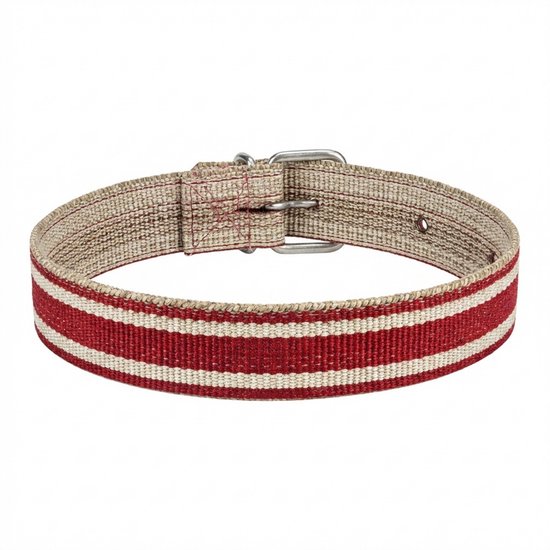 Halsband met rood-witte strepen en metalen gesp.