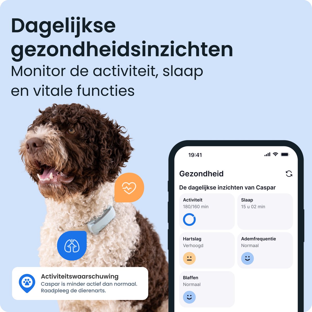 Tractive DOG 6 – GPS Tracker voor Honden - Real-Time Locatie, Activiteitenmonitor & Waterdicht - Past op Meeste Halsbanden – Munt thumbnail 3