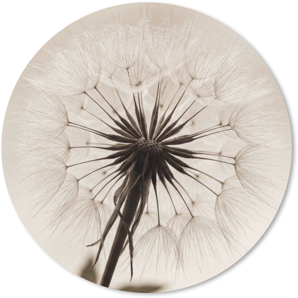 Muismat rond 20x20 cm - Mousepad Paardenbloem - Minimalistisch - Wit - Ronde muismatten
