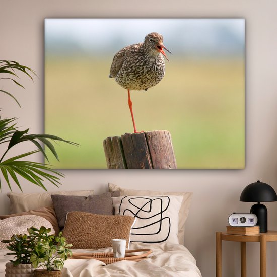 Redshank debout sur une jambe Toile 160x120 cm - Tirage photo sur toile (Décoration murale salon / chambre) XXL / Groot format!