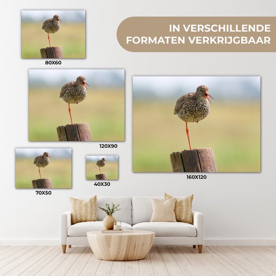 Redshank debout sur une jambe Toile 160x120 cm - Tirage photo sur toile (Décoration murale salon / chambre) XXL / Groot format!