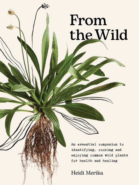 From the Wild - cover