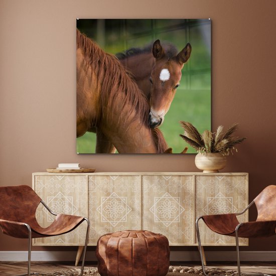 ® Glasschilderij 90x90 cm - Schilderij acrylglas - Paarden - Gras - Portret - Foto op glas - Muurdecoratie woonkamer - Wanddecoratie slaapkamer - Schilderijen