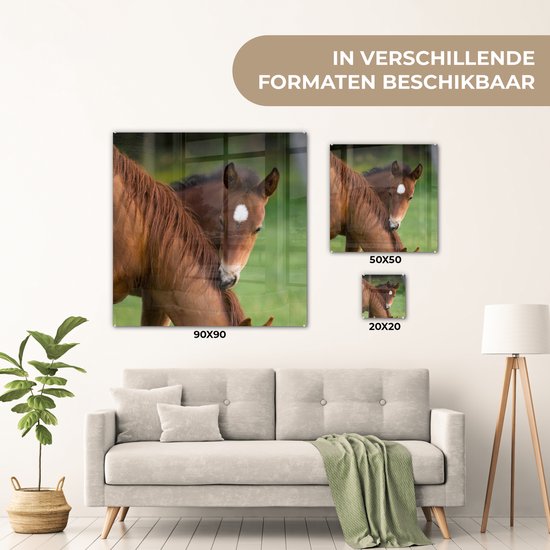 ® Glasschilderij 90x90 cm - Schilderij acrylglas - Paarden - Gras - Portret - Foto op glas - Muurdecoratie woonkamer - Wanddecoratie slaapkamer - Schilderijen