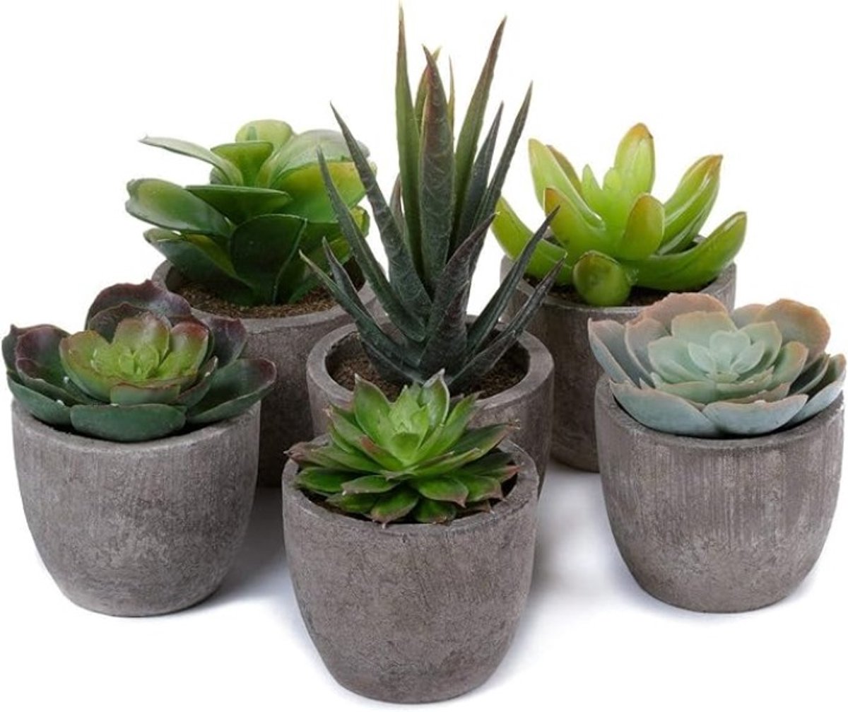 Set van 6 Kunstplanten Mini Vetplanten in Pot - Onderhoudsvrij voor Bureau, Woonkamer en Slaapkamer