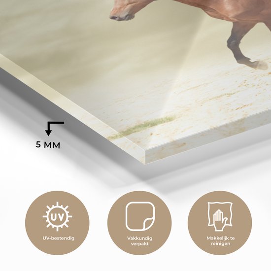 MuchoWow® Peinture sur verre 90x90 cm - Peinture sur verre - Cheval - Tissu - Sable - Photo sur verre acrylique - Peintures