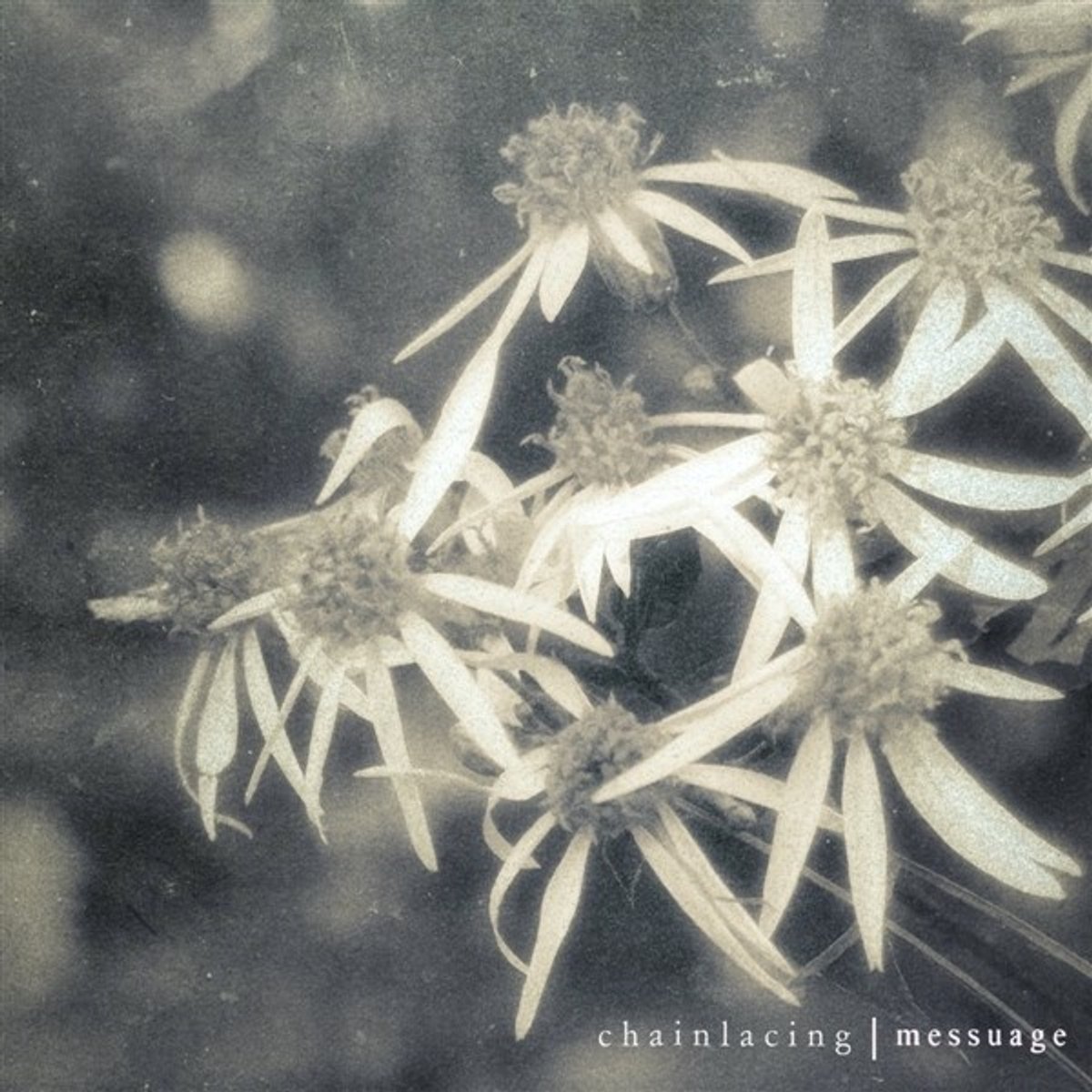 Chainlacing - Messuage (LP) (Coloured Vinyl)