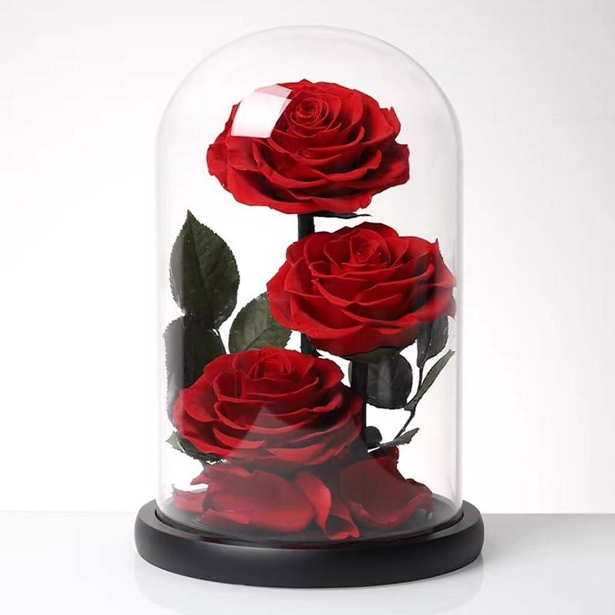 Geconserveerde Roos - Eeuwige Bloem - Cadeau Geven - Langdurig Mooi - Glazen Koepel - Rood