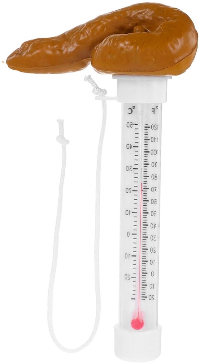 Zwembadthermometer Poep - Drijvende Meter - Water Temperatuur - Grappig Design - 19.5 cm Lengte - Koffie