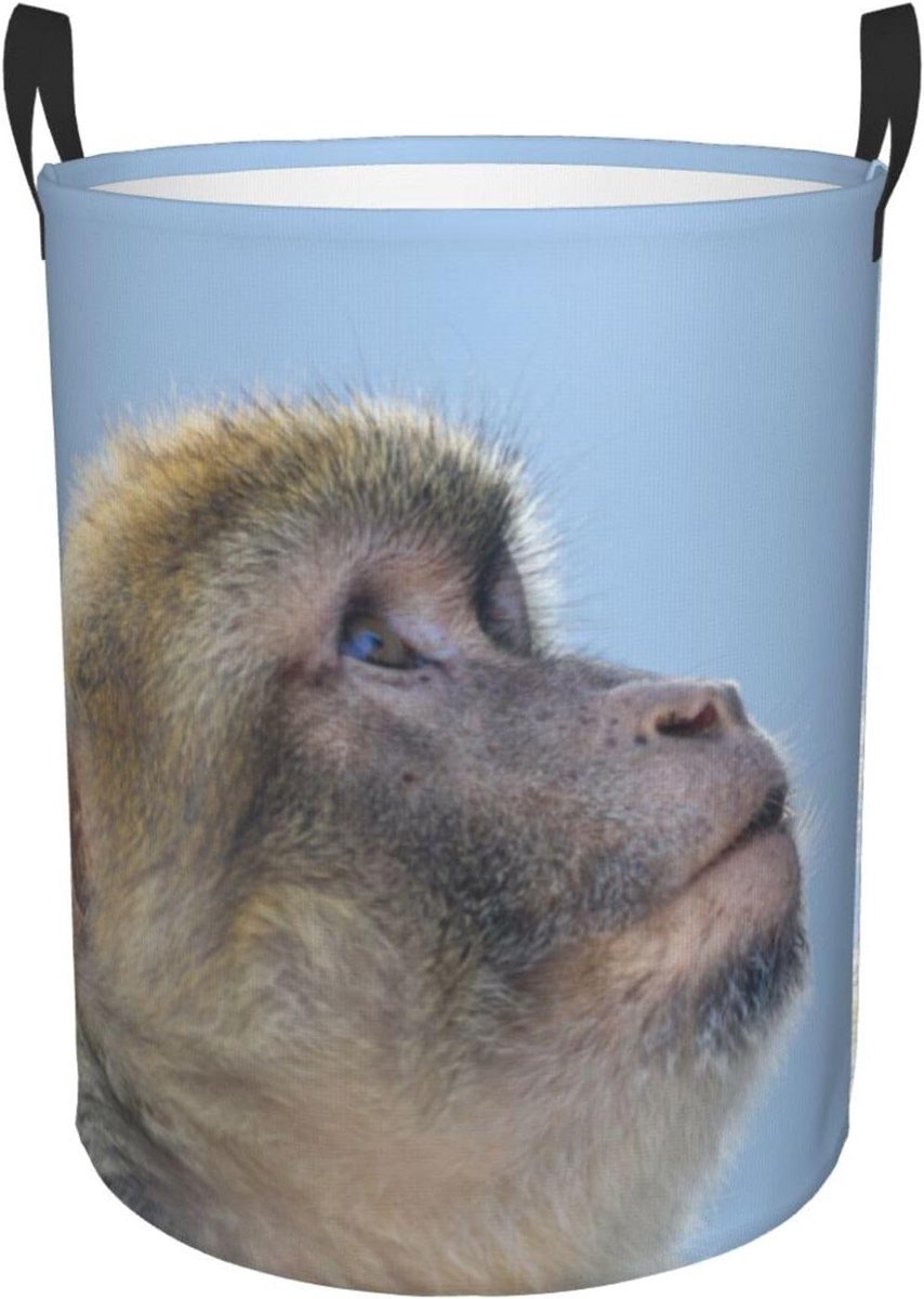 Grote Wasmand Opbergmand Kleding Huishouden Organiseren Opvouwbaar Ontwerp 42 cm Hoog Zwart