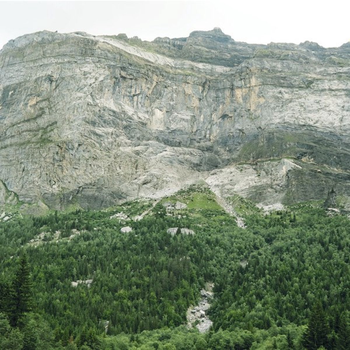 Mich L. - Air Near Silence (LP)
