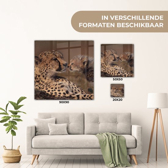 ® Glasschilderij 20x20 cm - Schilderij acrylglas - Cheeta moeder en welp - Foto op glas - Muurdecoratie woonkamer - Wanddecoratie slaapkamer - Schilderijen