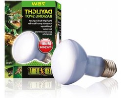 Terrarium Lamp - Warmte Spot - Reptielen Verwarmen - Gerichte Warmte - 75 Watt - Daglicht